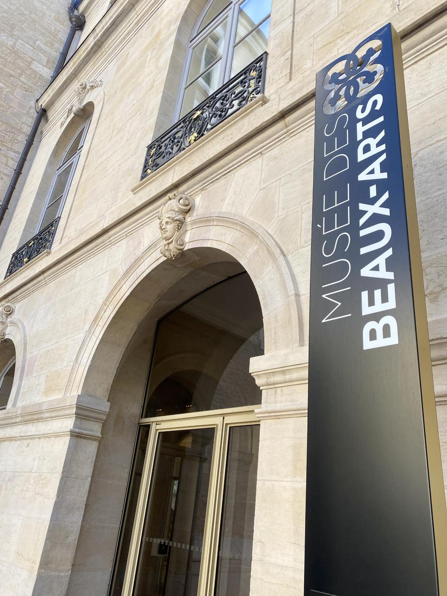 Le Rousseau - Appartement & Suite En Hypercentre Dijon Dış mekan fotoğraf