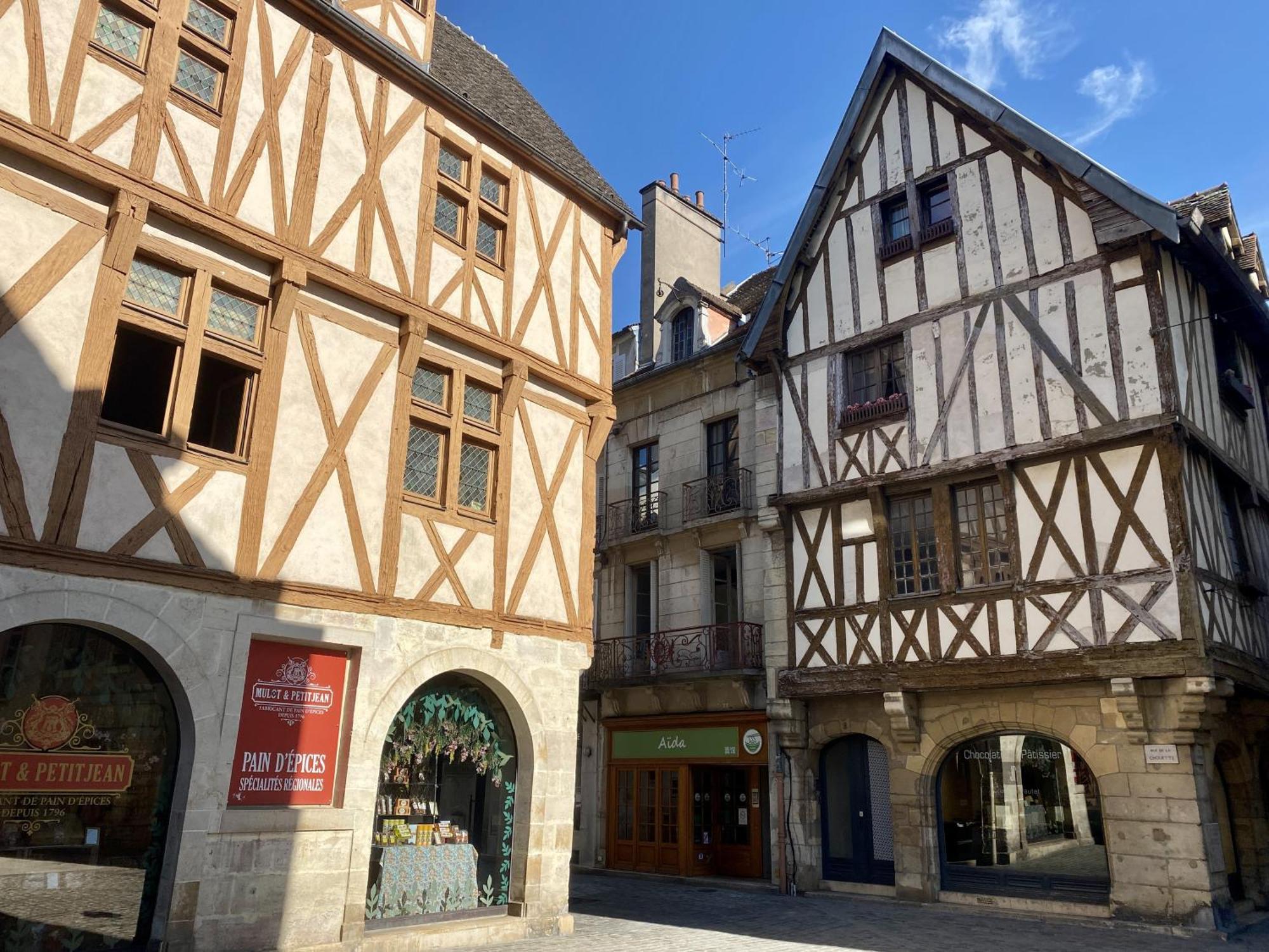 Le Rousseau - Appartement & Suite En Hypercentre Dijon Dış mekan fotoğraf
