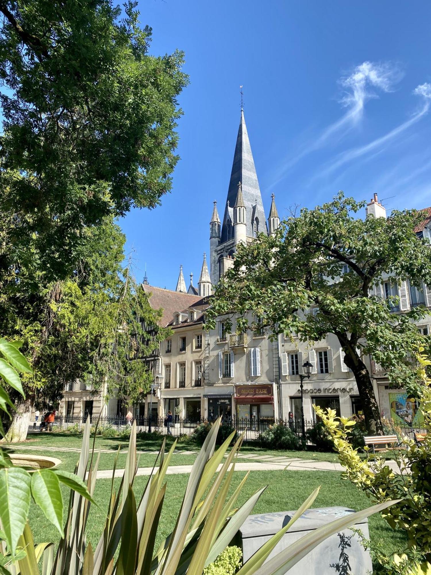 Le Rousseau - Appartement & Suite En Hypercentre Dijon Dış mekan fotoğraf